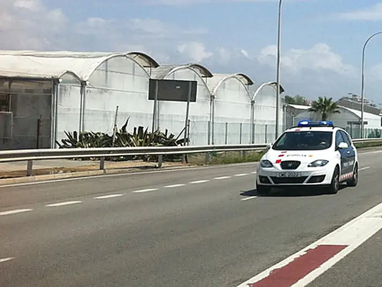 Imagen de la pregunta