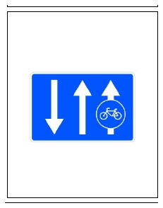 Señal S-64b: Vía reservada y obligatoria para ciclos adosada a calzada de doble sentido de circulación