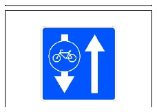 Señal S-66: Carril bici en sentido opuesto
